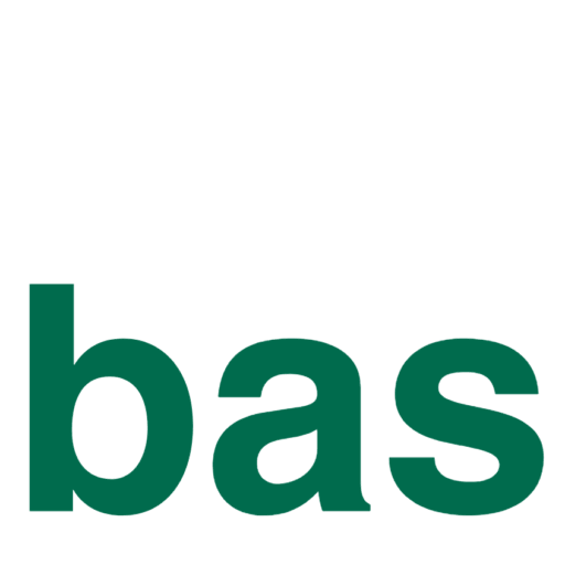 Bundesverband ausländischer Studierender